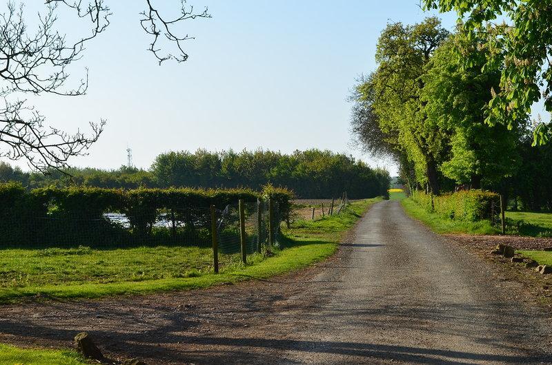 مبيت وإفطار Saint-Pol-sur-Ternoise La Ferme Du Bois Quesnoy المظهر الخارجي الصورة